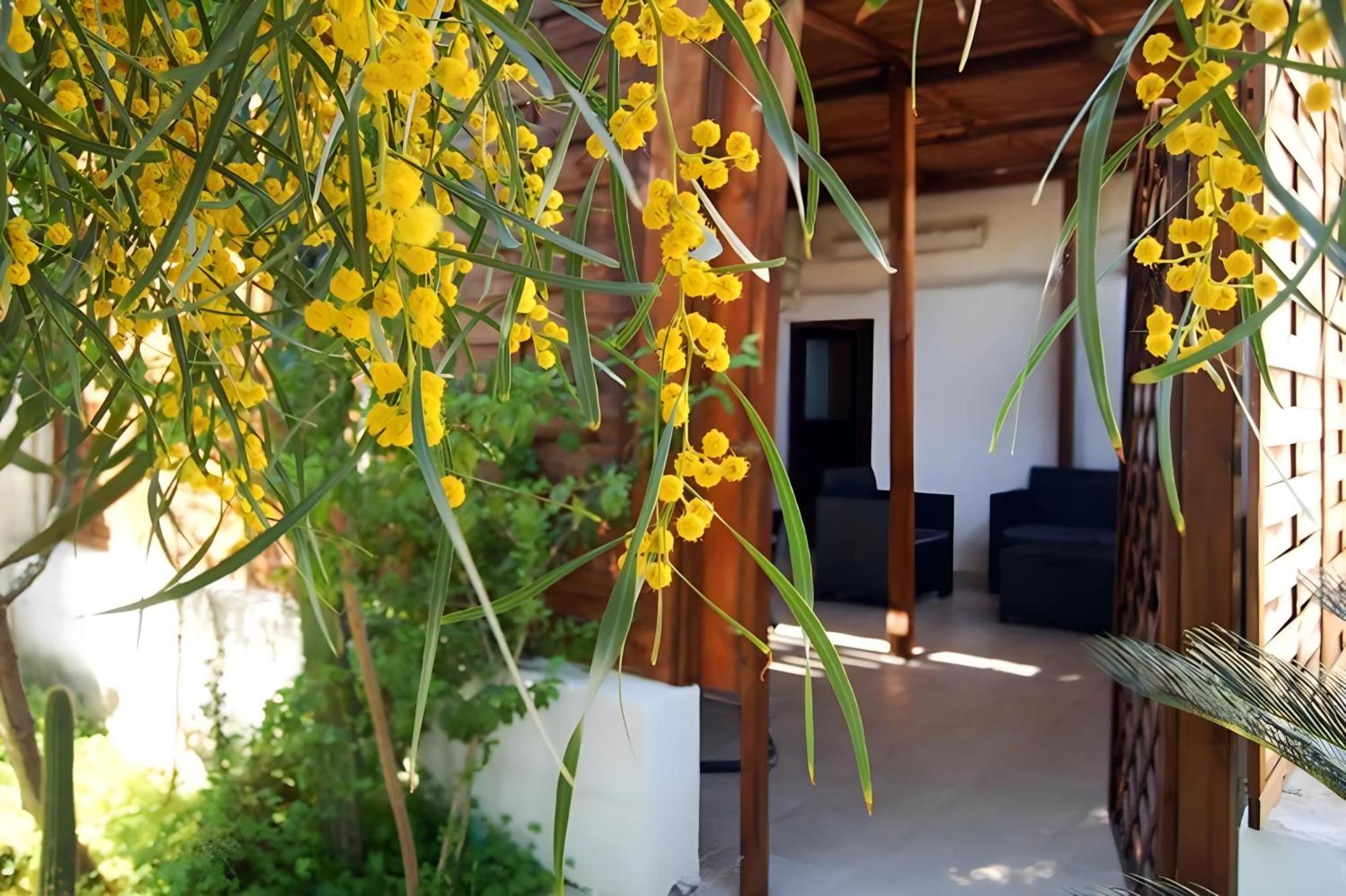 Appartement Sea Breeze - Sole Bari